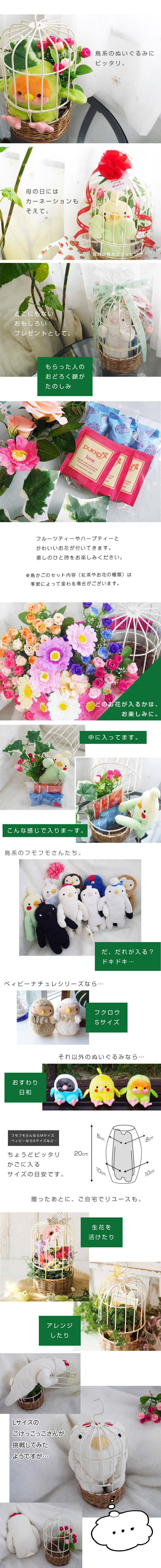 どこにもない幸せの鳥かごギフトセット」あっと驚くサプライズ
